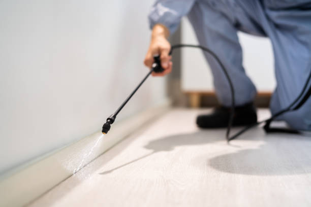 Licensed Pest Control service in Laramie, WY - Show Me Pest Control