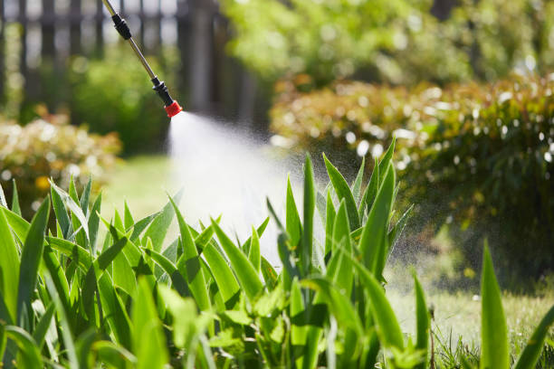 24/7 Emergency Mosquito Control experts in Laramie, WY